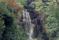 净慧寺(陕西省凤翔县唐村乡境内灵山寺庙)